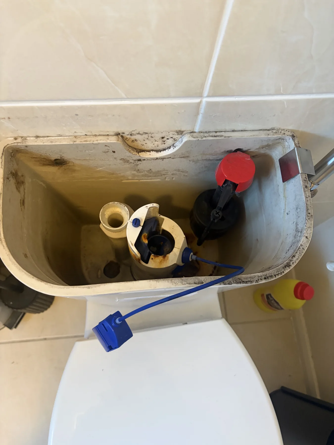 Old toilet cistern components before a fill valve repair in Blaby