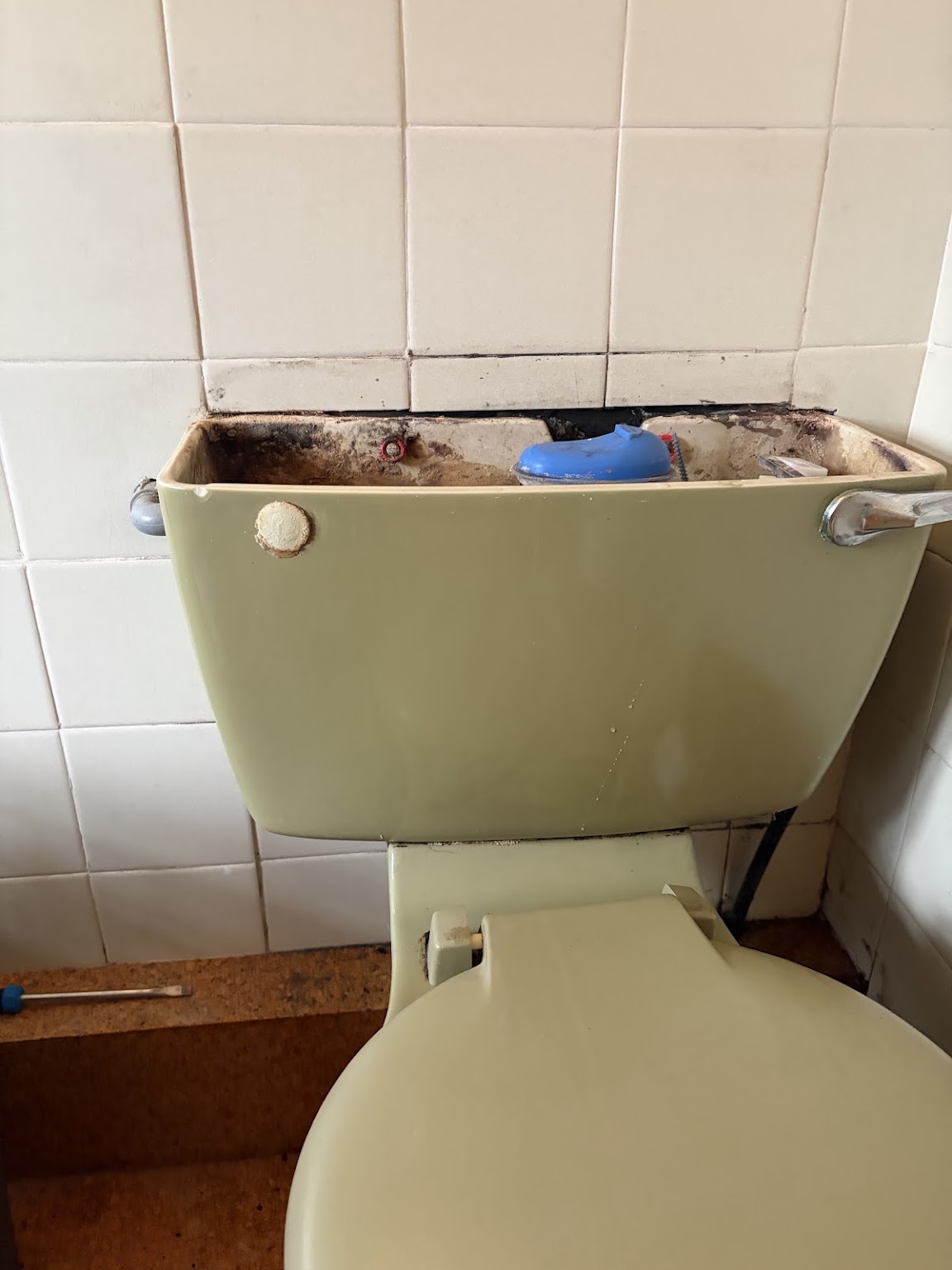 Older toilet cistern opened for a syphon and close-coupling repair in Glenfield