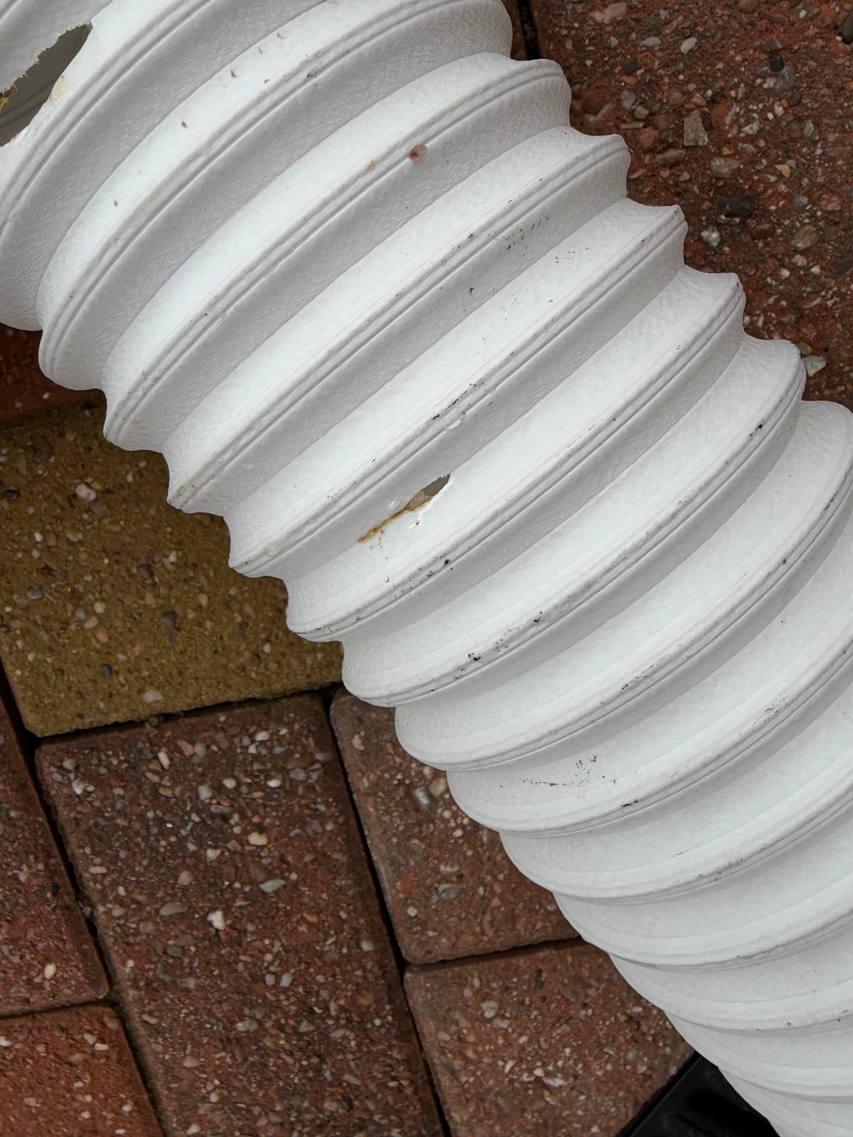 Flexible toilet pan connector damaged by a rat at a Hinckley property