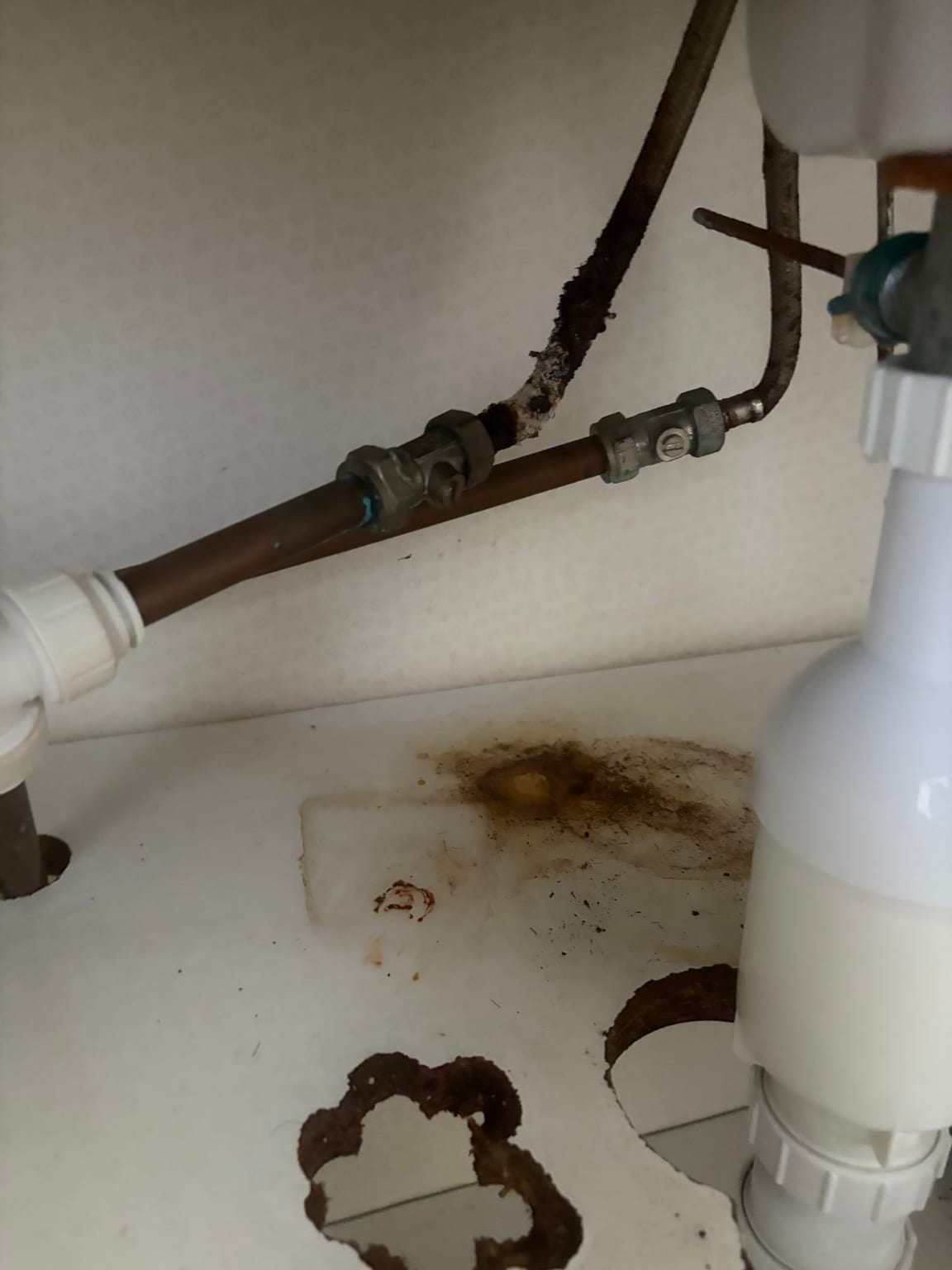 Corroded flexible tap connector beneath a bathroom basin in New Parks, Leicester